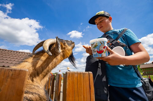 Krmení zvířat ve Farmaparku Soběhrdy